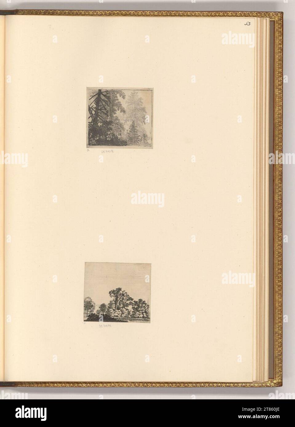 Jan van Brosterhuyzen (graveur) Forest ; Groupe des arbres. gravure 1622-1650, 1622/1650 Banque D'Images