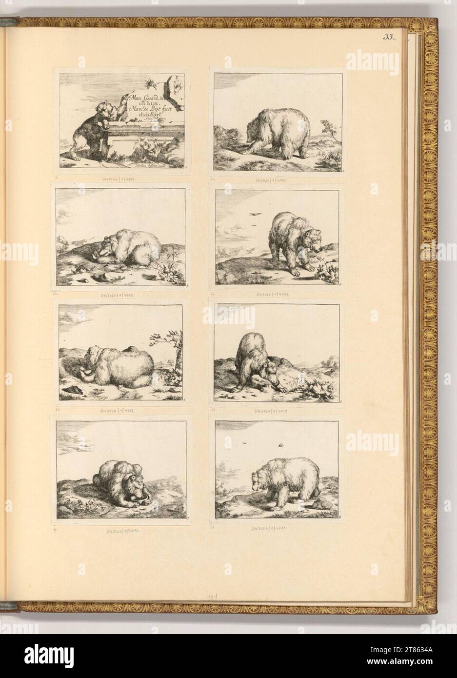 Marcus de Bye (graveur) divers ours. gravure 1664, 1664 Banque D'Images