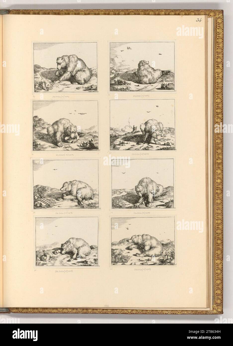 Marcus de Bye (graveur) divers ours. gravure 1664, 1664 Banque D'Images