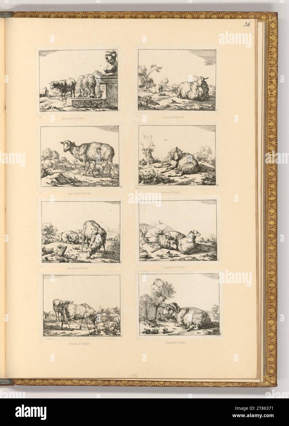 Marcus de Bye (graveur) divers moutons. gravure 1664, 1664 Banque D'Images