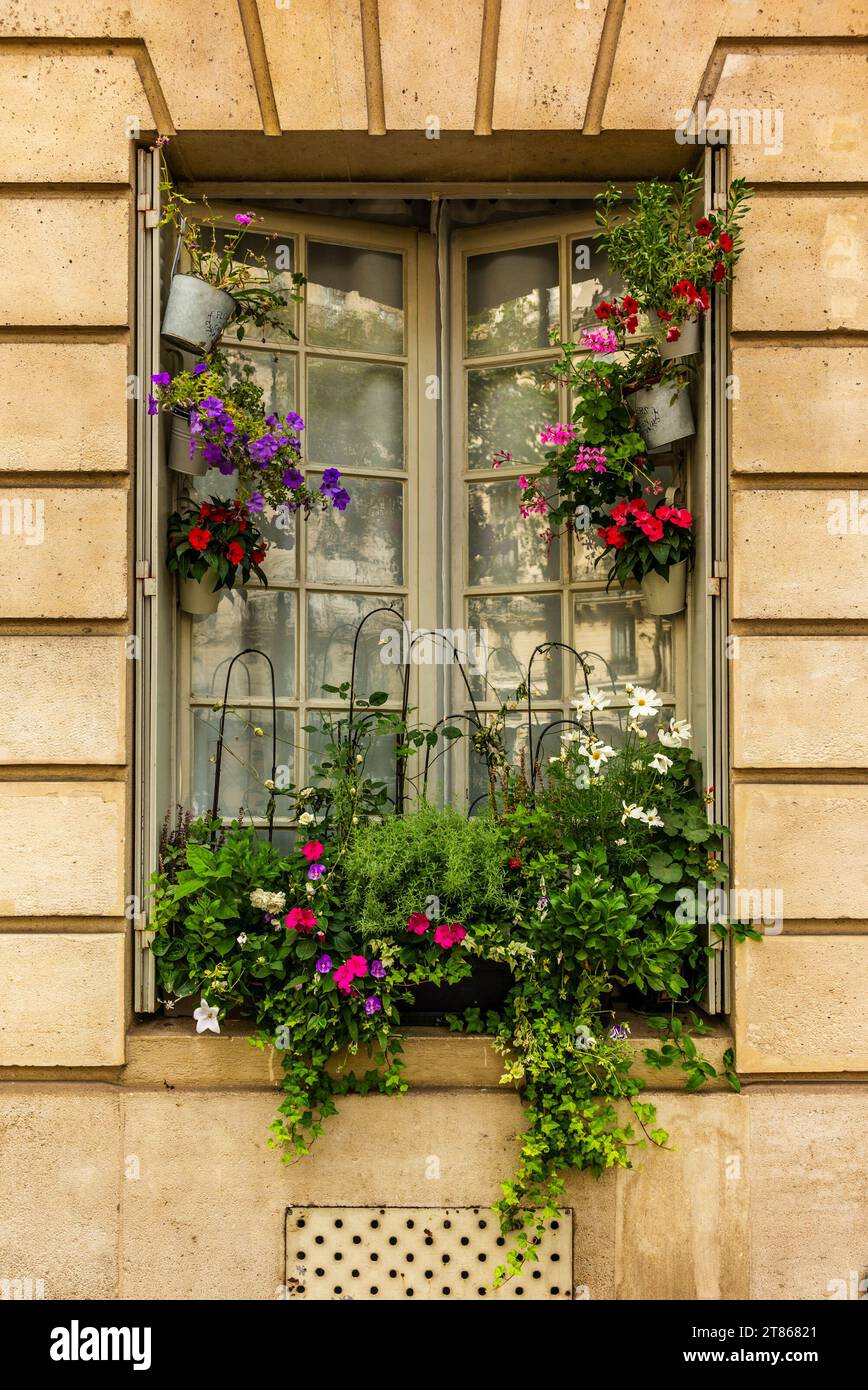 Une fenêtre décorée de pots de fleurs à Paris en été Banque D'Images