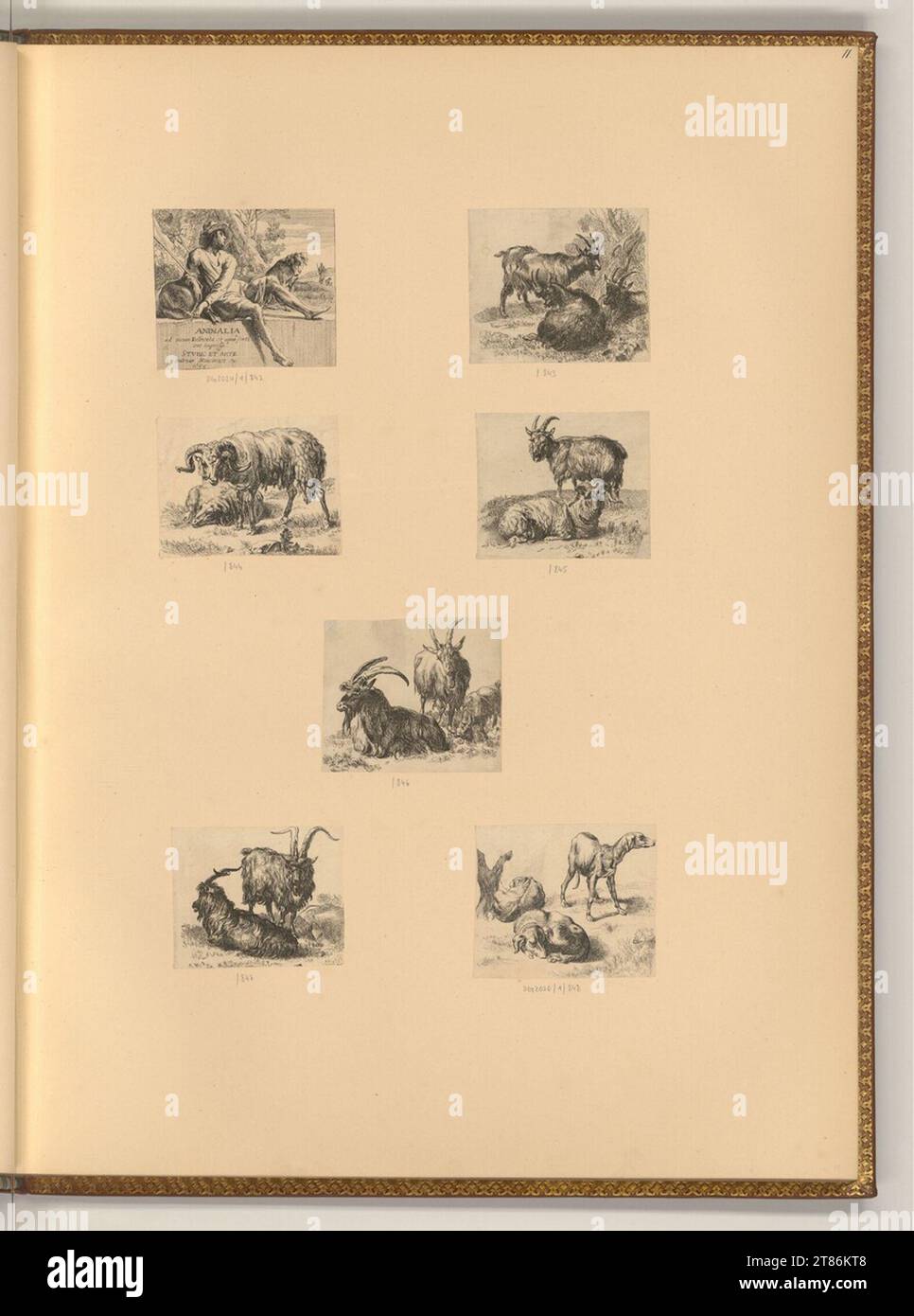 Nicolaes Pietersz. Berchem série de moutons et de chèvres. gravure 1659, 1659 Banque D'Images