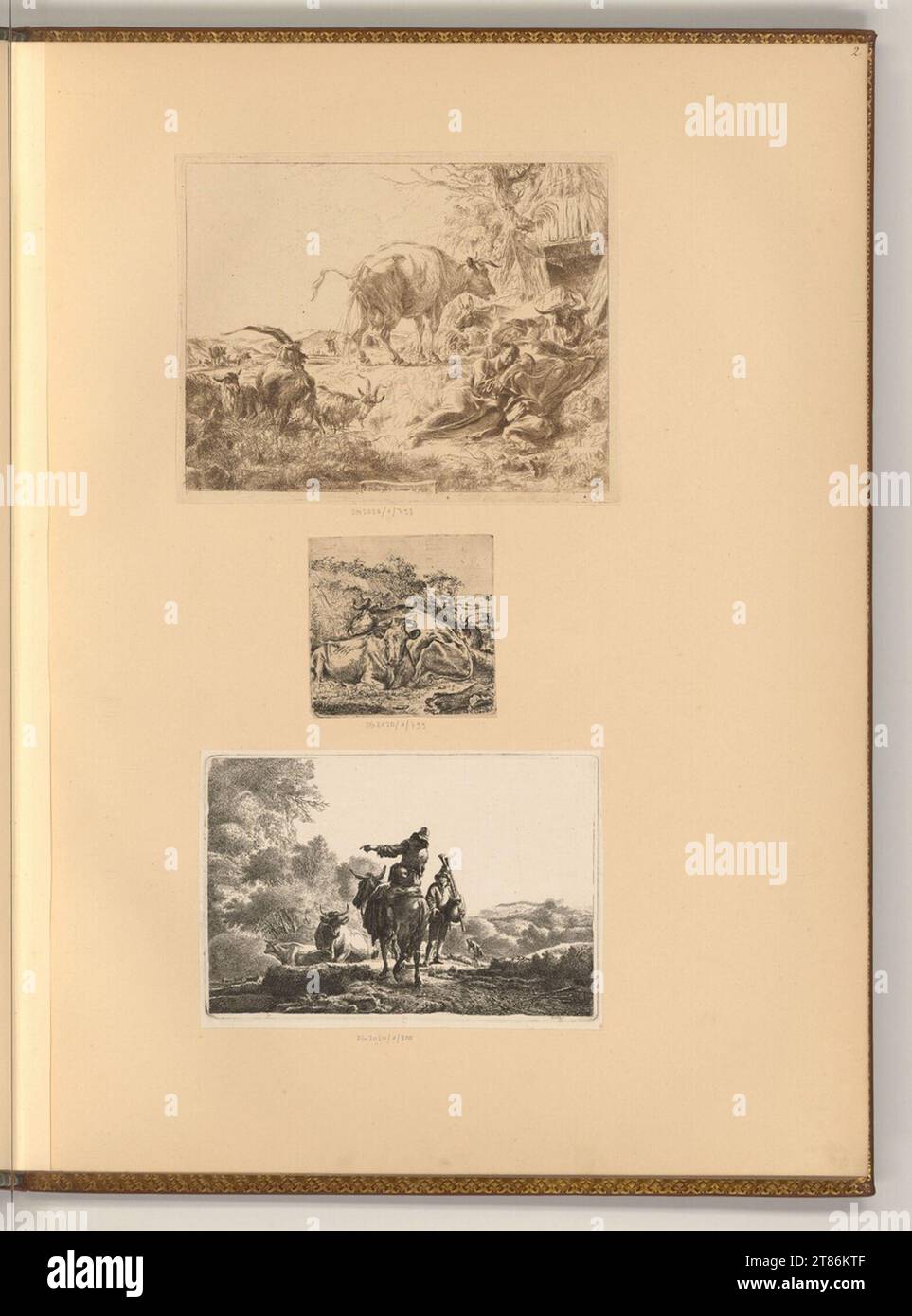 Nicolaes Pietersz. Berchem paysages avec des vaches. Mitte de gravure 17.-18. Century Banque D'Images
