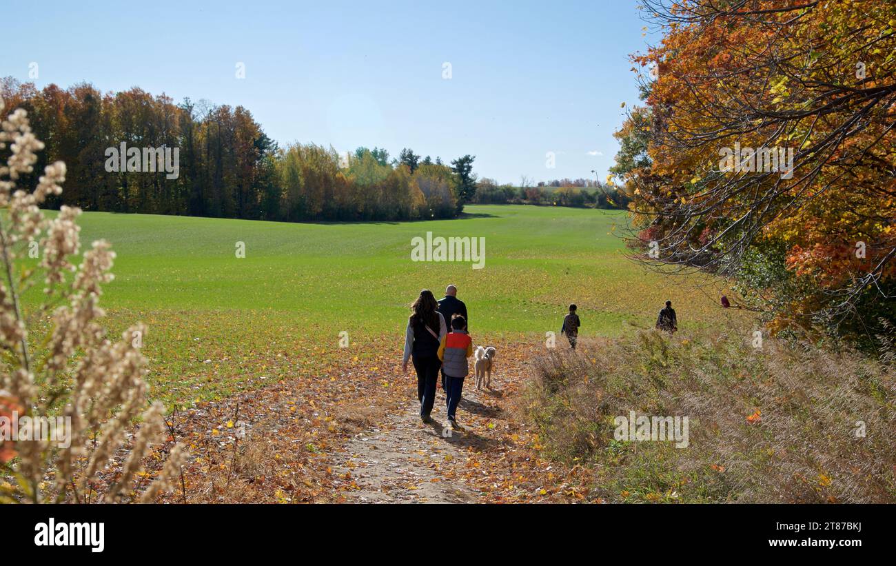 Chien de famille marchant dans le sentier forestier en automne Banque D'Images