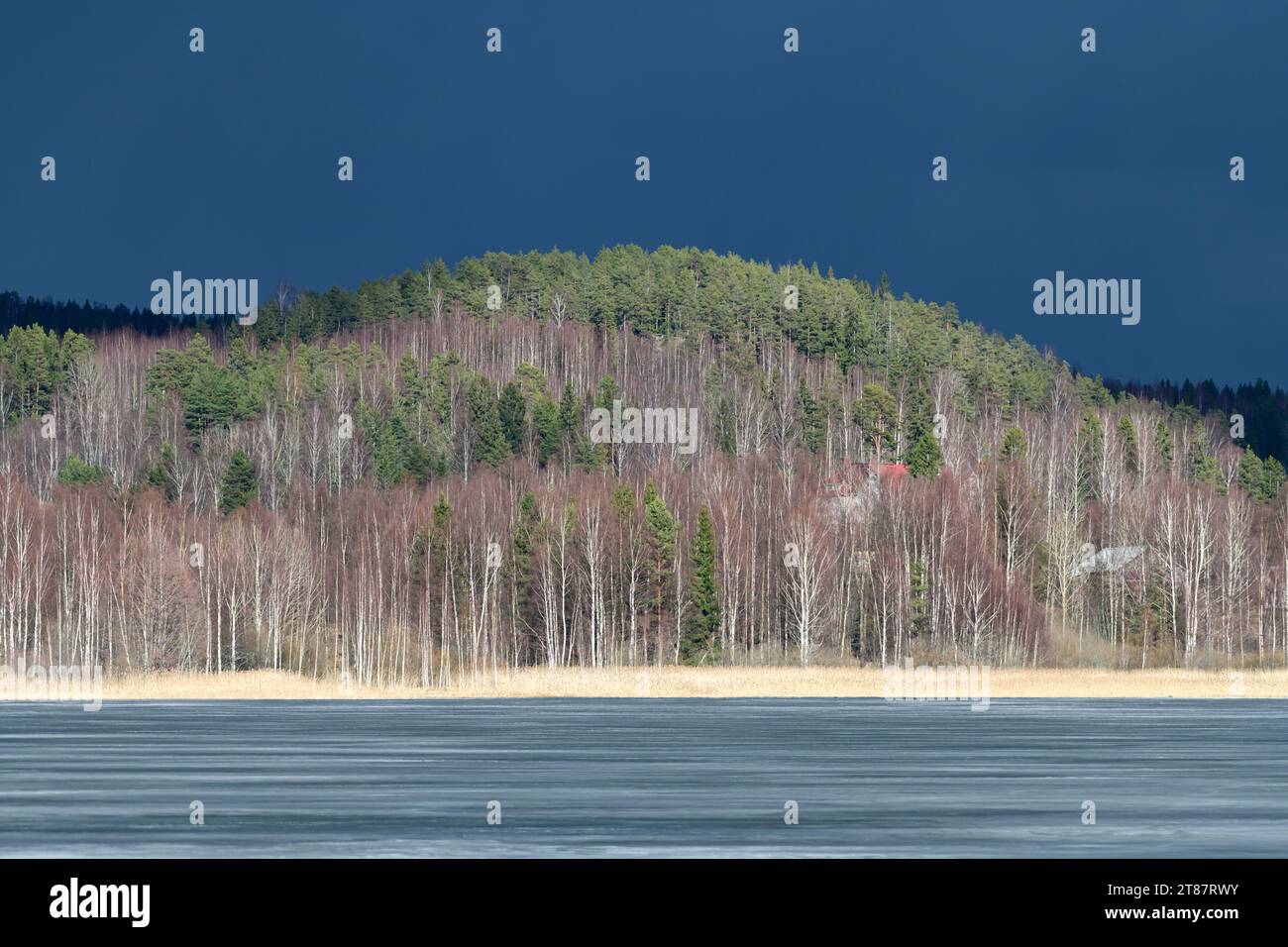 Sombre glace mince sur le point de se briser sur un lac dans l'ouest de la Finlande au début du mois d'avril 2011 avec des nuages sombres spectaculaires derrière une colline couverte d'esprit Banque D'Images