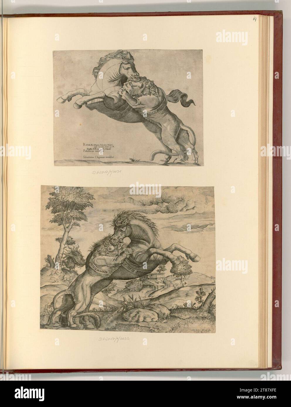 Sebastianus Clugiensis (graveur) cheval attaqué par un lion. Gravure sur cuivre 1578, 1578 Banque D'Images