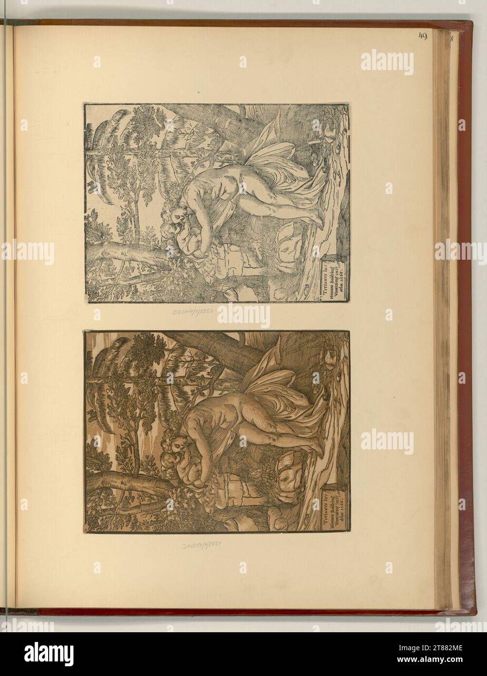 Niccolò Boldrini (Formschneider in) Vénus et Amor. Gravure sur bois 1566, 1566 Banque D'Images
