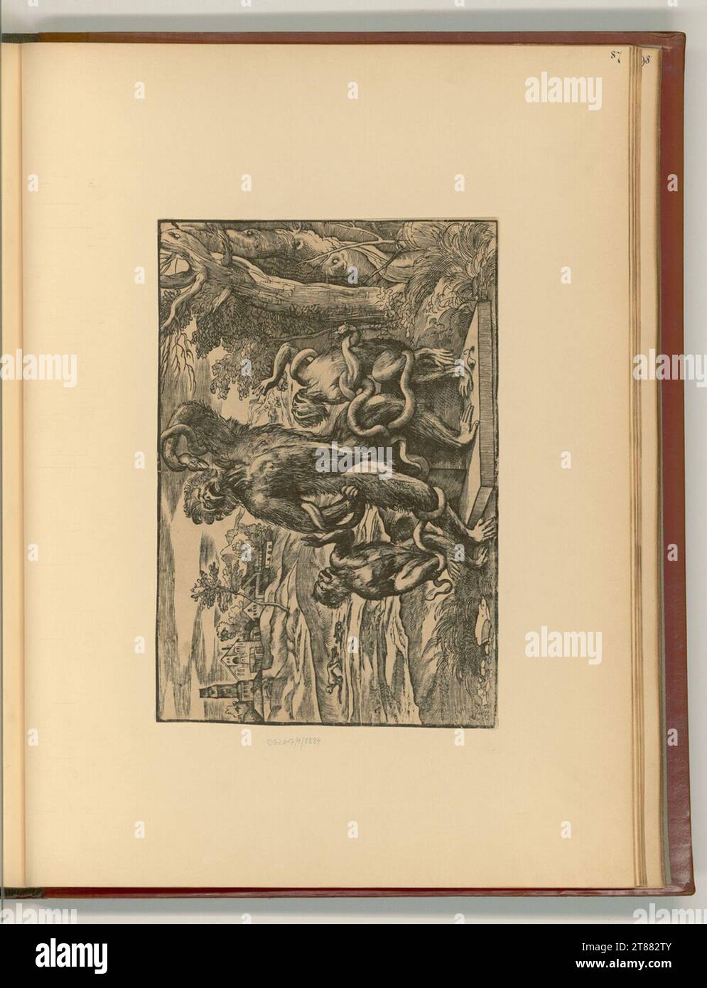Niccolò Boldrini travestissement du groupe Laokoon avec trois singes. Gravure sur bois 1550-1600, 1550/1600 Banque D'Images