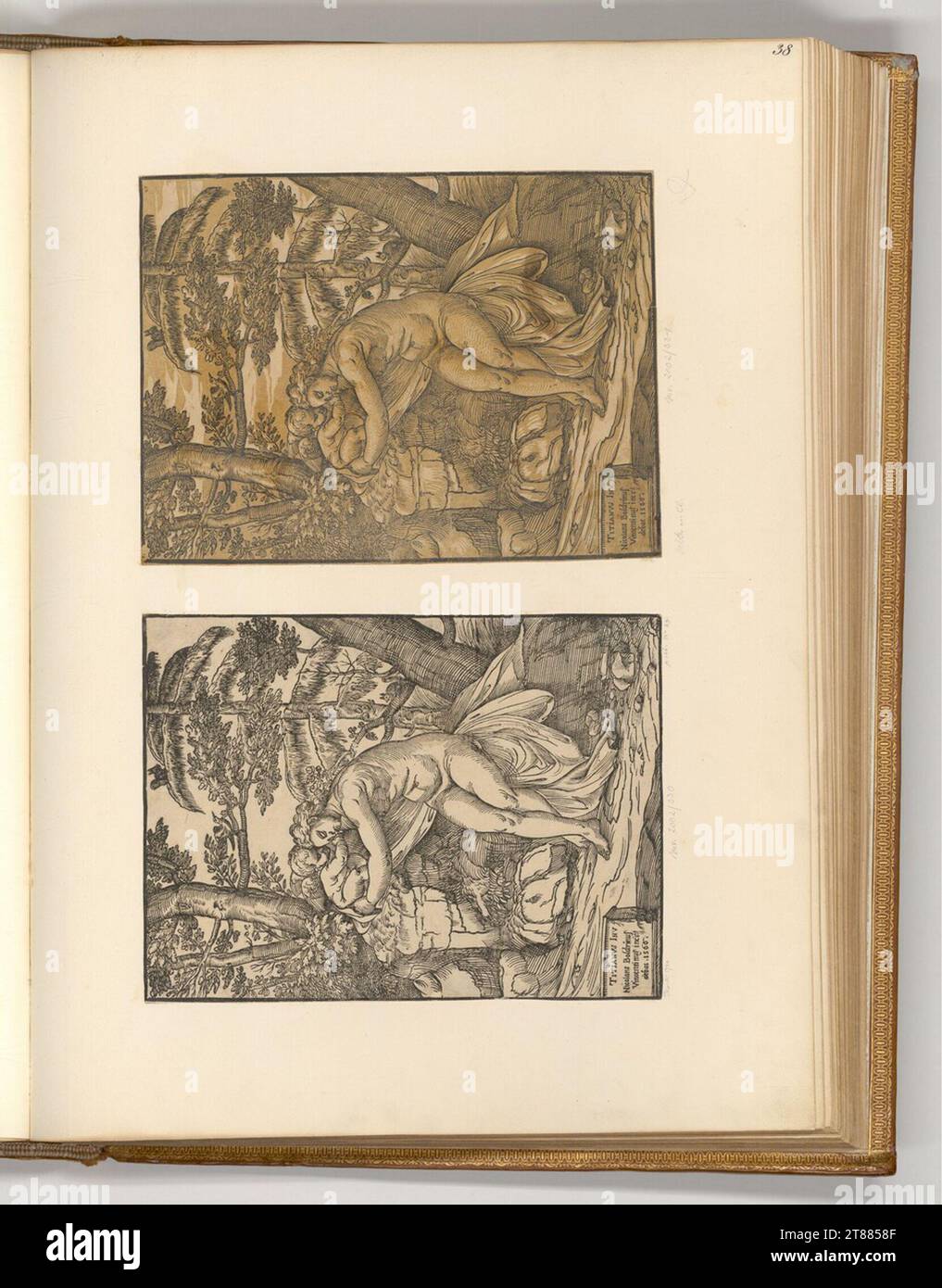 Niccolò Boldrini Vénus et Amor. Gravure sur bois ; clair OBSCUR gravure sur bois de deux plaques 1566, 1566 Banque D'Images
