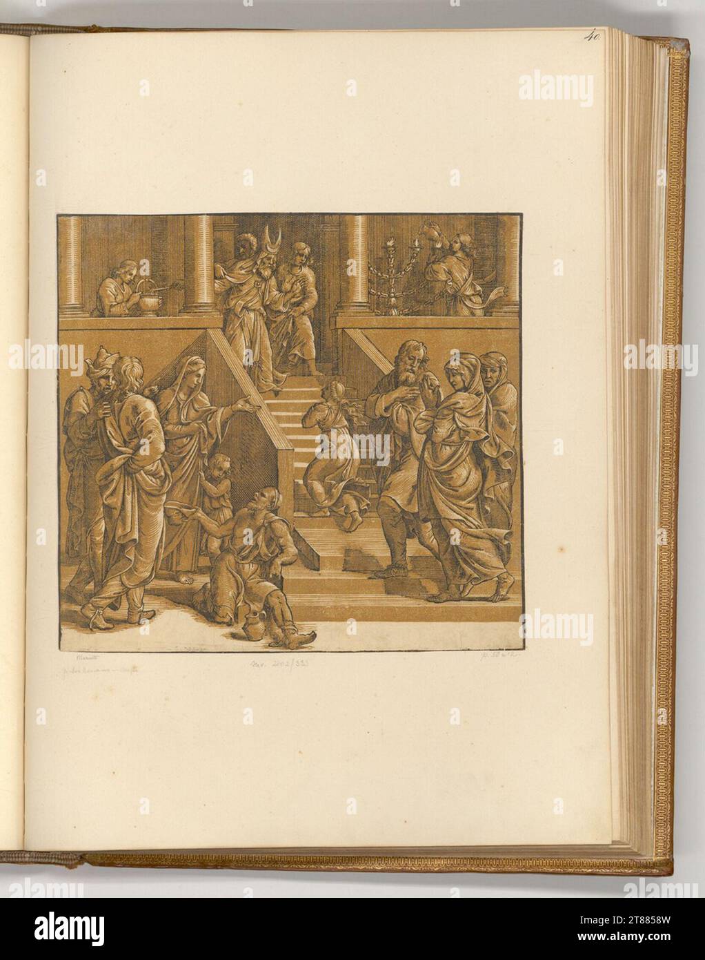 Niccolò Boldrini le temple passage de Marie. Clair OBSCUR gravure sur bois en deux planches (marron) Zweites Drittel 16. Century Banque D'Images