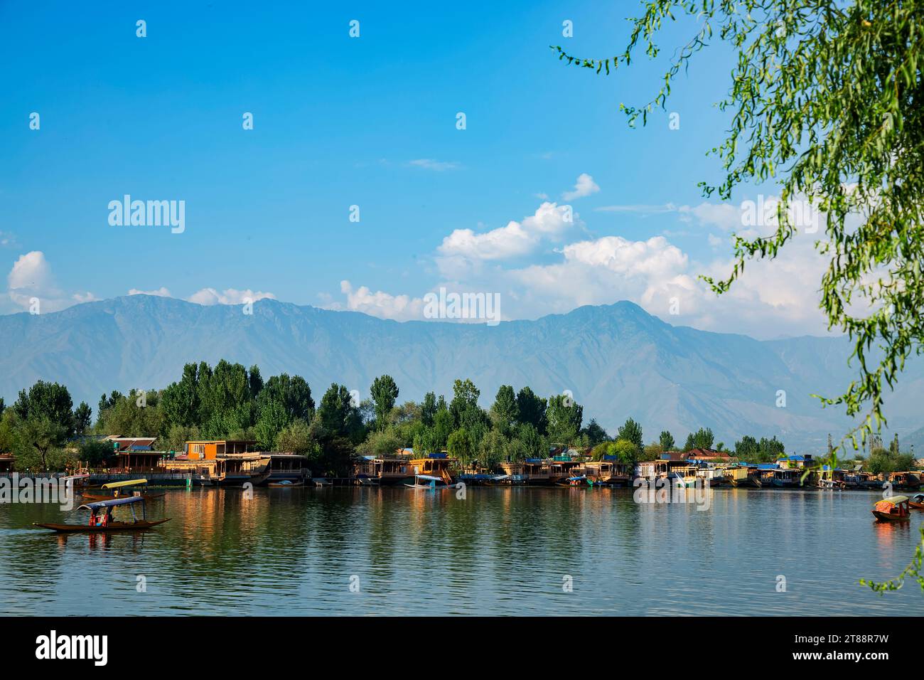 Shikars bateau sur le lac dale à Srinagar, Jammu Cachemire, Inde. Banque D'Images