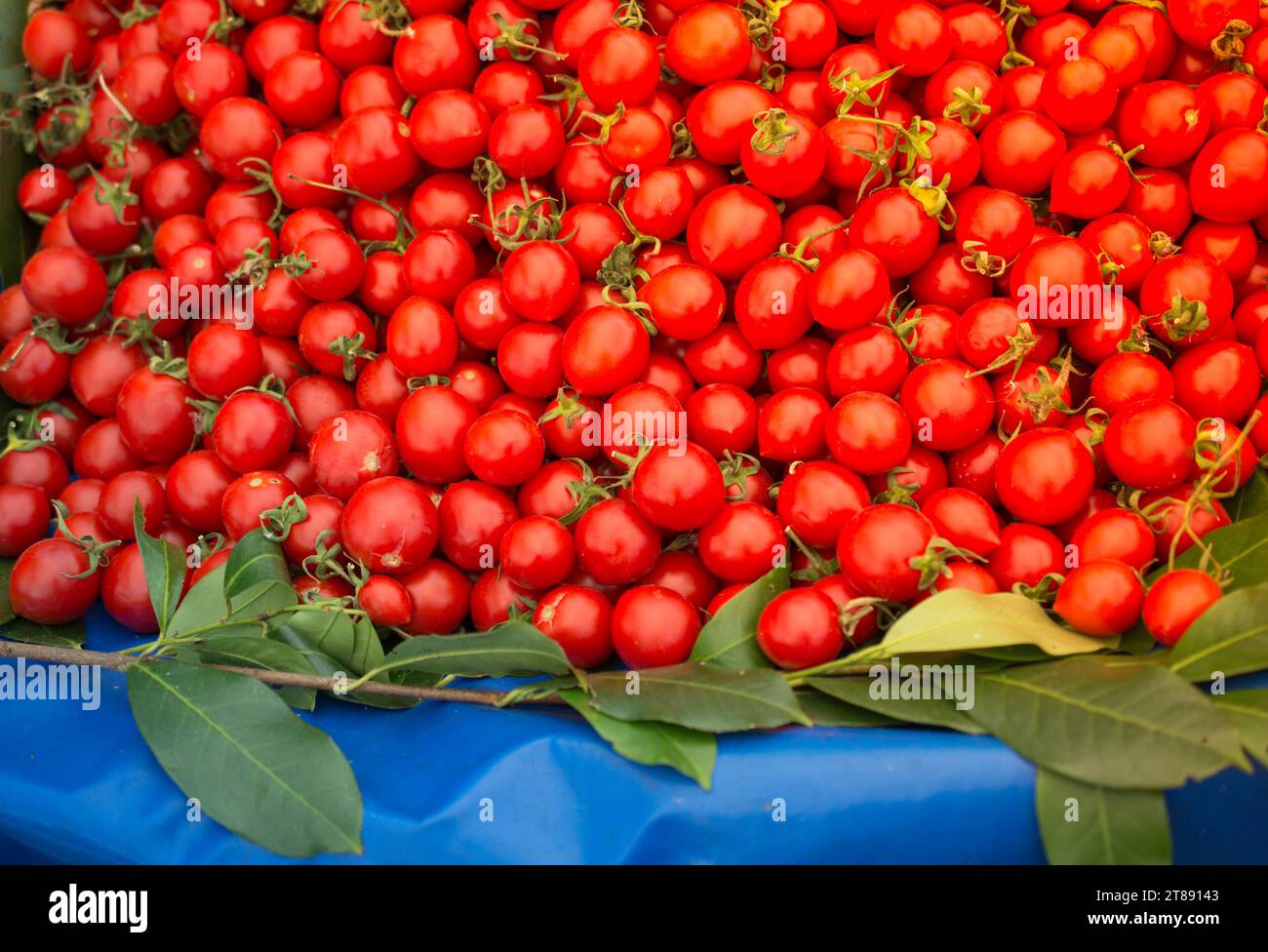 Tomate rouge frais à l'épicerie pour milieux alimentaires concept Banque D'Images