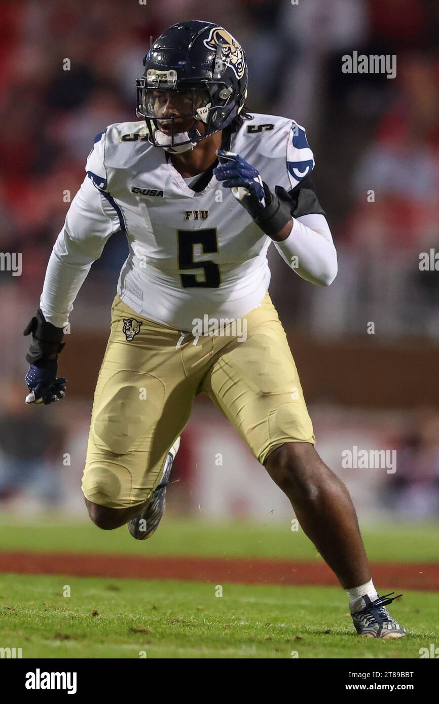 18 novembre 2023 : Steven Shannon #5 Panthers Defensive End sort du bord. Arkansas bat Florida International 44-20 à Fayetteville, AR. Richey Miller/CSM Banque D'Images