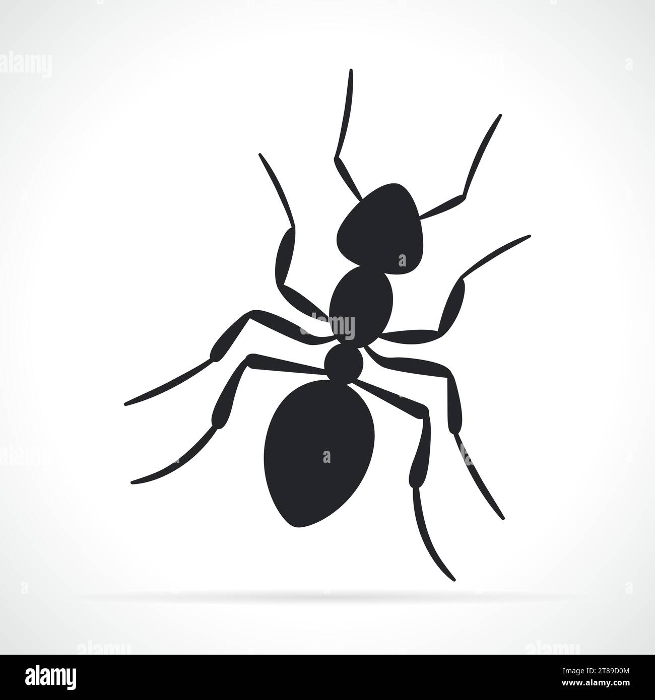Illustration de fourmi noire sur fond blanc Illustration de Vecteur