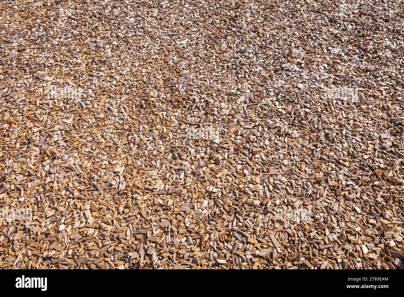 Copeaux de bois utilisés comme surface molle sûre pour une aire de jeux ou contre les mauvaises herbes dans un jardin, paillis d'écorce Banque D'Images