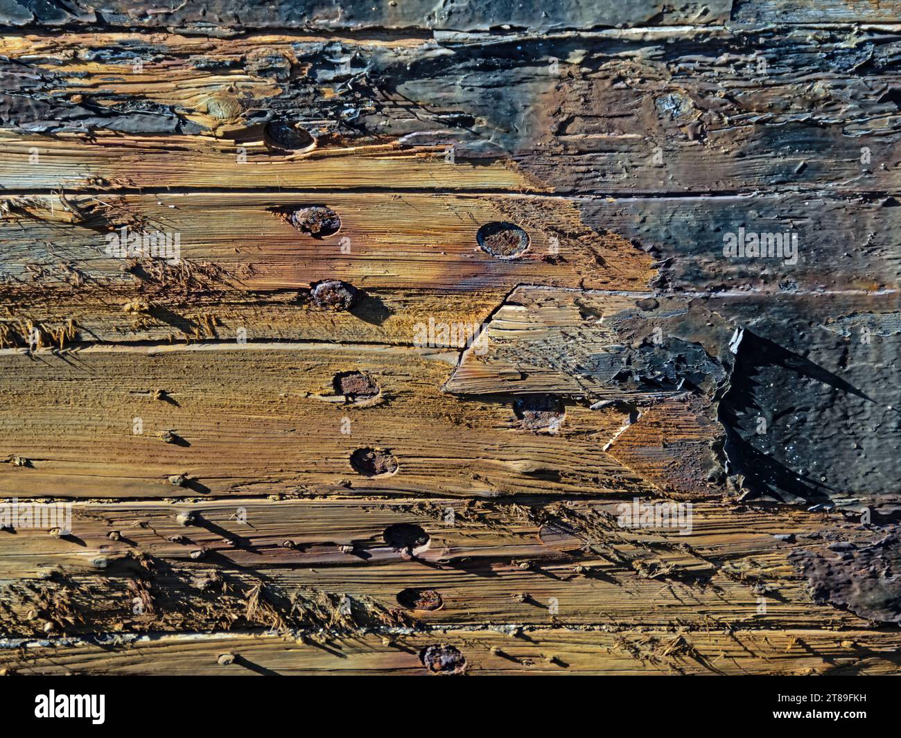 Fond de vieilles planches de bois pourries Banque D'Images