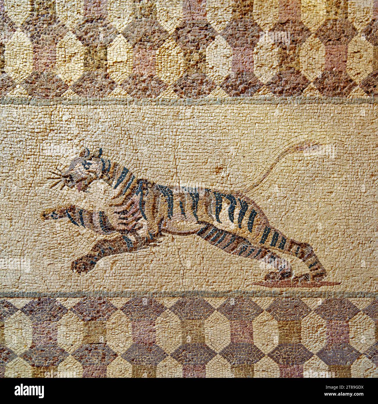 Image d'un tigre sur une mosaïque antique de l'atrium de la maison de Dionysos. La fin du 3e siècle annonce à Paphos. Chypre. Banque D'Images