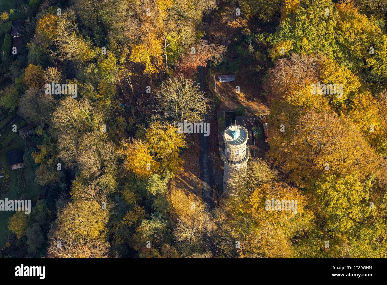 Vue aérienne, Helenenturm rénové avec plate-forme d'observation dans la forêt d'automne avec des arbres à feuilles caduques aux couleurs vives d'automne, Witten, région de la Ruhr, Nord RHI Banque D'Images