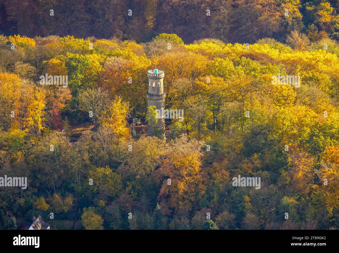 Vue aérienne, Helenenturm rénové avec plate-forme d'observation dans la forêt d'automne avec des arbres à feuilles caduques aux couleurs vives d'automne, Witten, région de la Ruhr, Nord RHI Banque D'Images