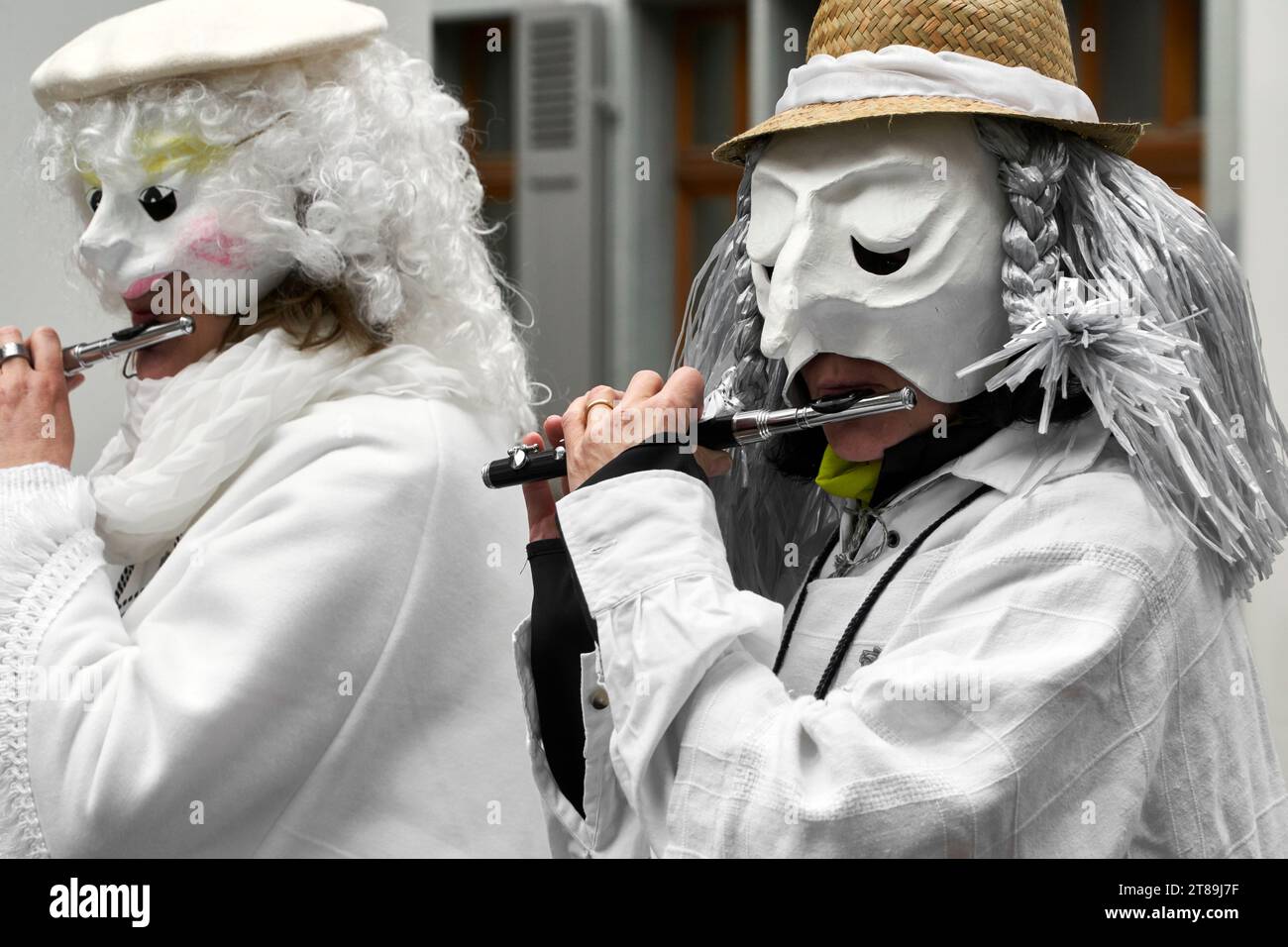 Suisse, Bâle, coutumes, carnaval, ville de Bâle, Baselstadt, canton de Bâle, cortège, larves, masques, personnalisé Banque D'Images