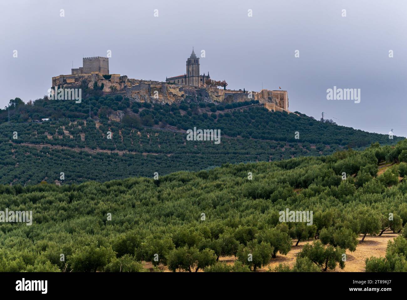 Forteresse de la Mota, Alcala la Real, Jaén, construite à l'époque nasride, entourée de champs d'oliviers, Andalousie. Banque D'Images