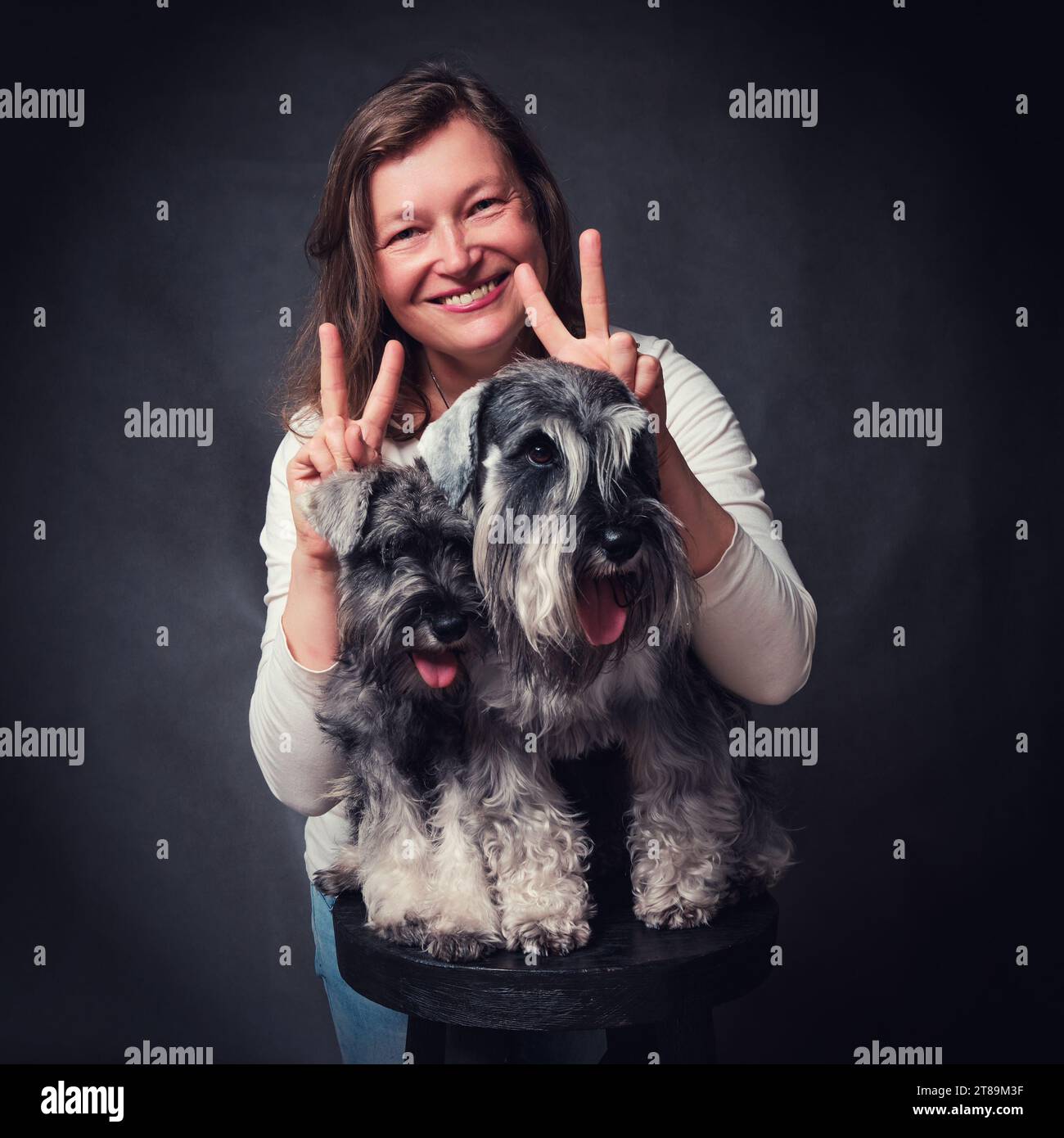 Portrait en studio d'une femme avec deux chiens schnauzer miniatures Banque D'Images