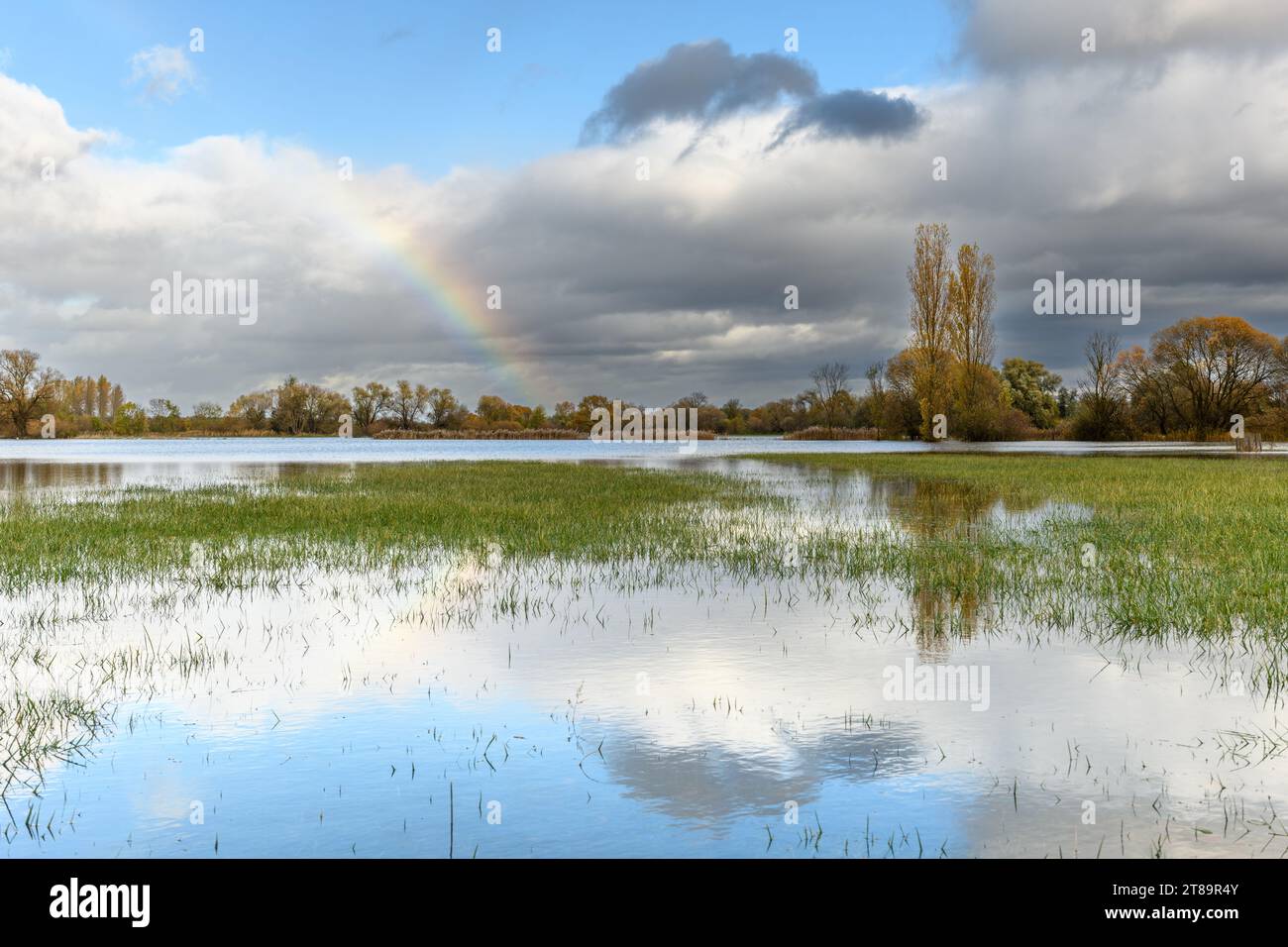 Arc-en-ciel sur une prairie inondée. Paysage d'automne. Bas-Rhin, Collectivite européenne d'Alsace,Grand est, France, Europe. Banque D'Images
