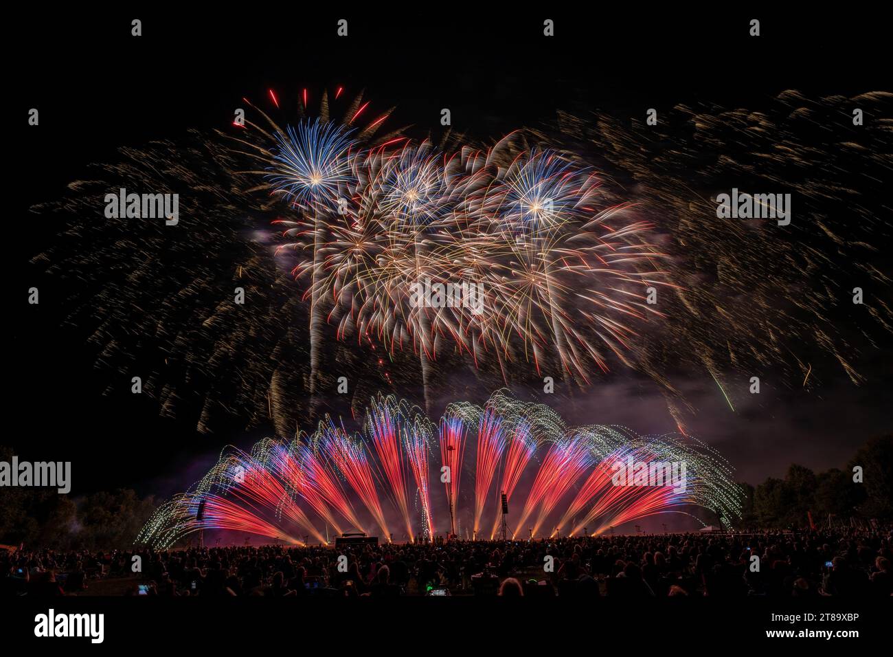 Feux d'artifice Grand Color Banque D'Images