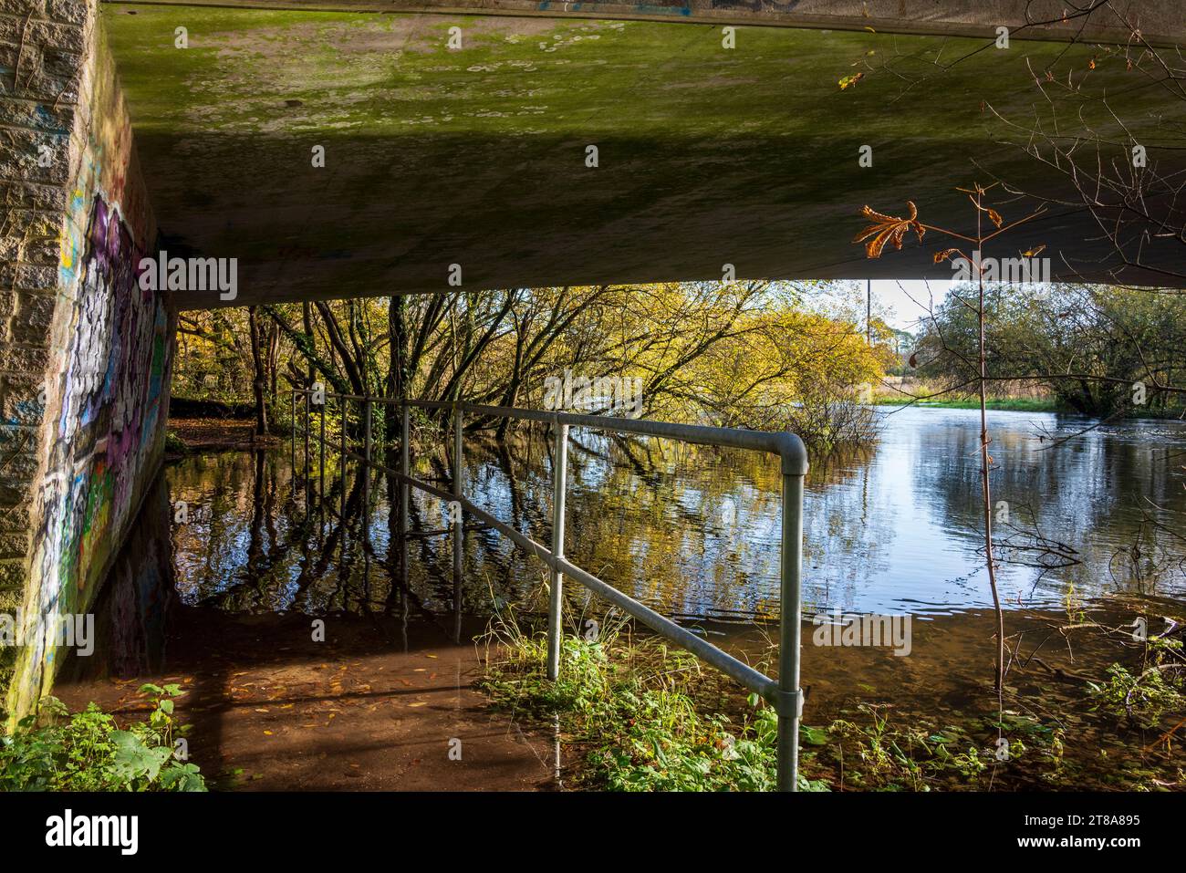 Sentier inondé sous un pont routier, novembre, Royaume-Uni Banque D'Images