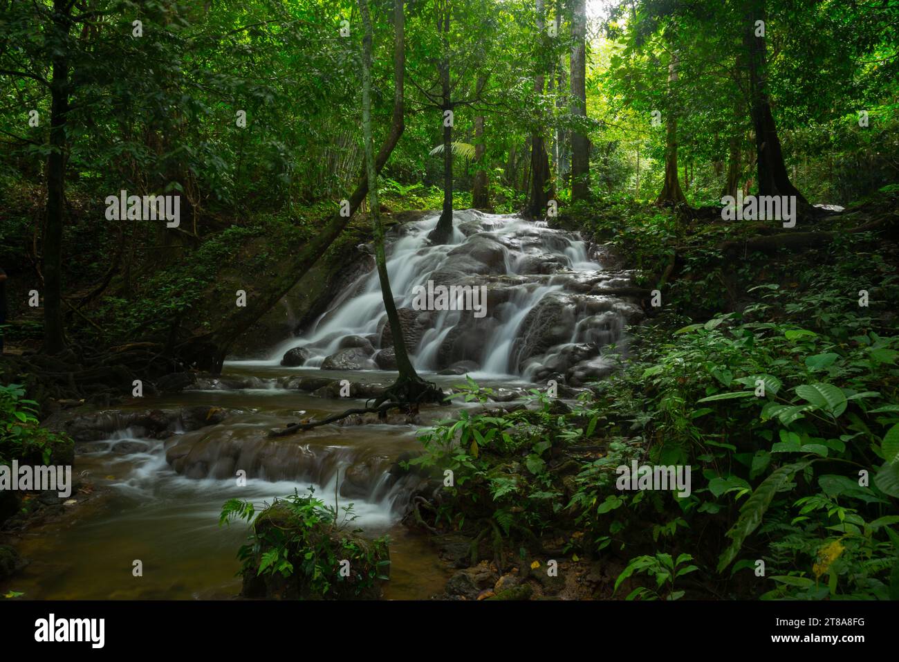 Belle cascade au parc forestier de sa Nang Manora, province de Phangnga, Thaïlande. Banque D'Images