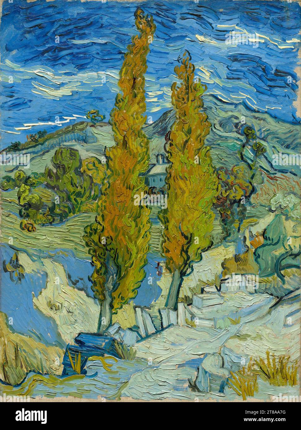 Van Gogh a peint ce paysage automnal alors qu'il était interné dans un asile près de Saint-Rémy dans le sud de la France. Bien qu'initialement limité à la peinture dans sa chambre, il a rapidement repris son travail à l'extérieur. Cette peinture révèle toute la puissance de son style mature. Les arbres se tordent et se penchent contre un ciel assombrissant, tandis que les couleurs intenses appliquées avec des coups de pinceau chargés transmettent sa réaction émotionnelle au sujet. Deux peupliers dans les Alpilles près de Saint-Rémy, 1889. Vincent van Gogh (néerlandais, 1853-1890). Huile sur tissu ; encadré : 81 x 66,7 x 7,3 cm (31 7/8 x 26 1/4 x 2 7/8 po) ; sans encadré : 61,6 x 45,7 cm (24 1/4 x 1 po) Banque D'Images