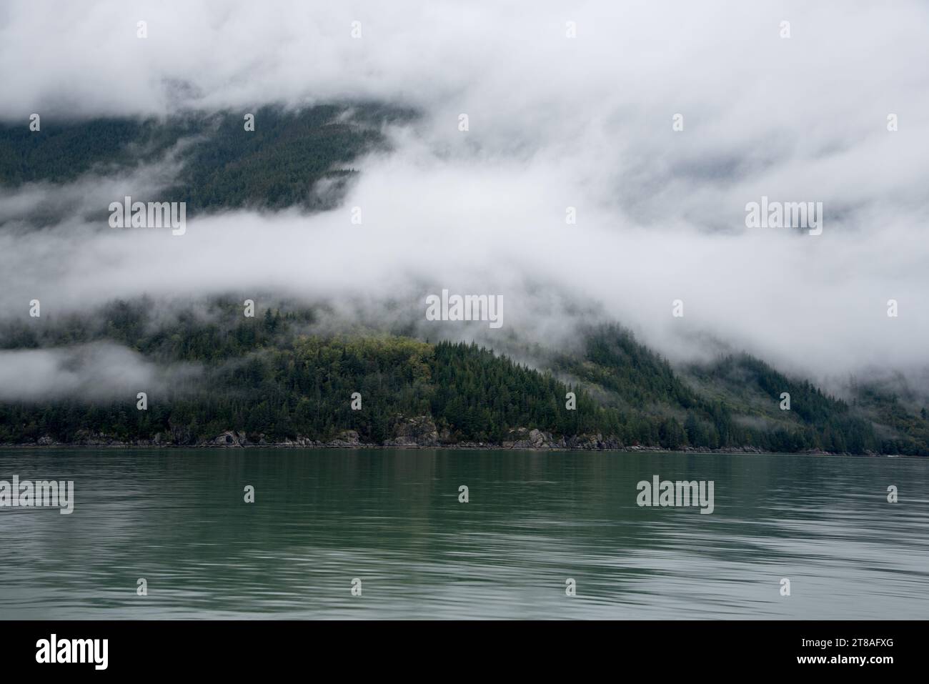 La forêt tropicale luxuriante couvre les eaux calmes de Inland passage entre la côte est de l'île de Vancouver et le continent canadien. Banque D'Images