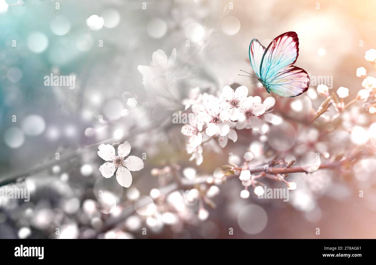 Arbre de fleur sur fond de nature avec papillon. Fleurs printanières. Fond de printemps. Banque D'Images