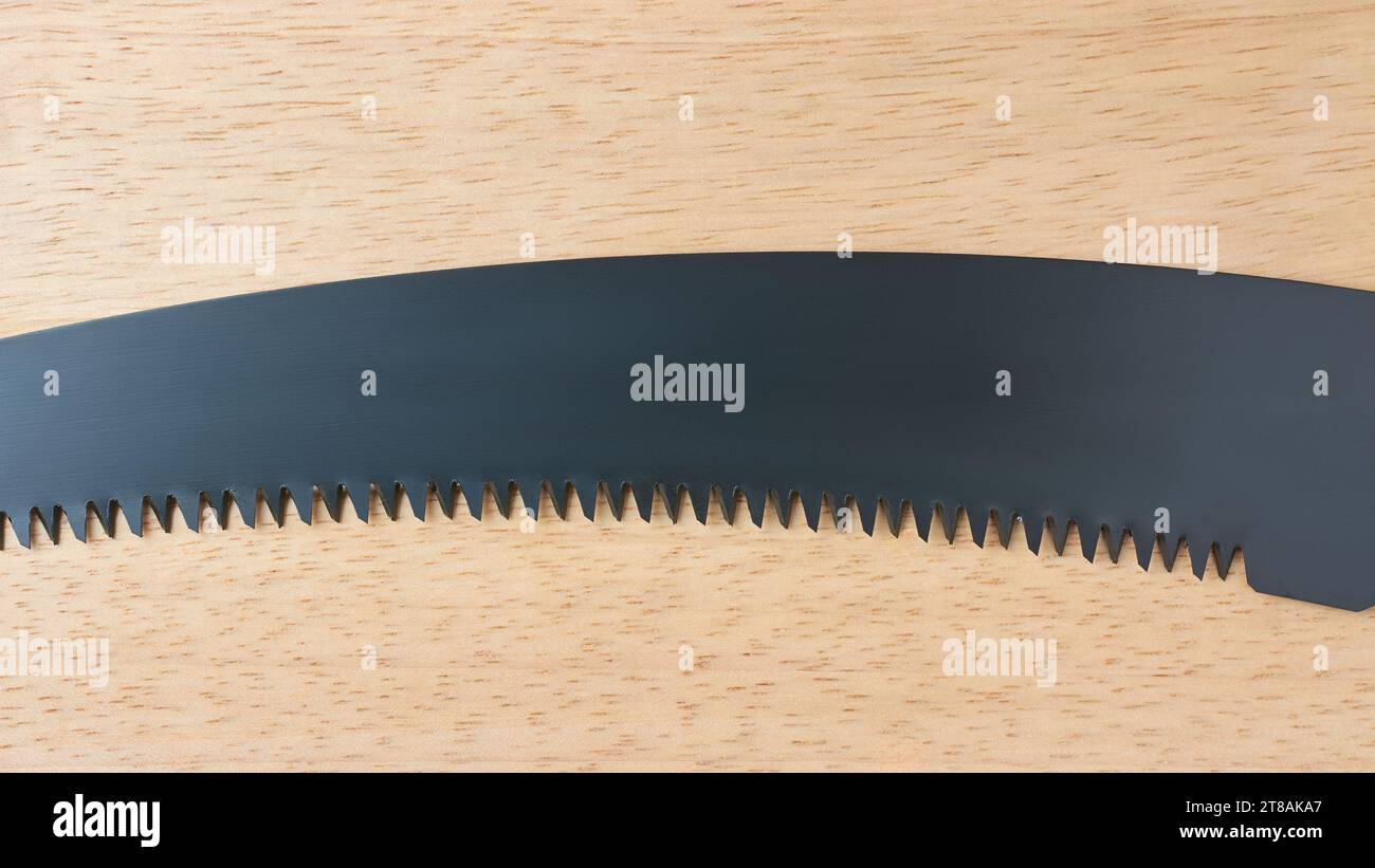gros plan de la lame de scie à main, scie à métaux avec conception incurvée de lame pour couper à travers le bois, faire des coupes rapides et propres à travers le bois, outil pratique sur wo Banque D'Images