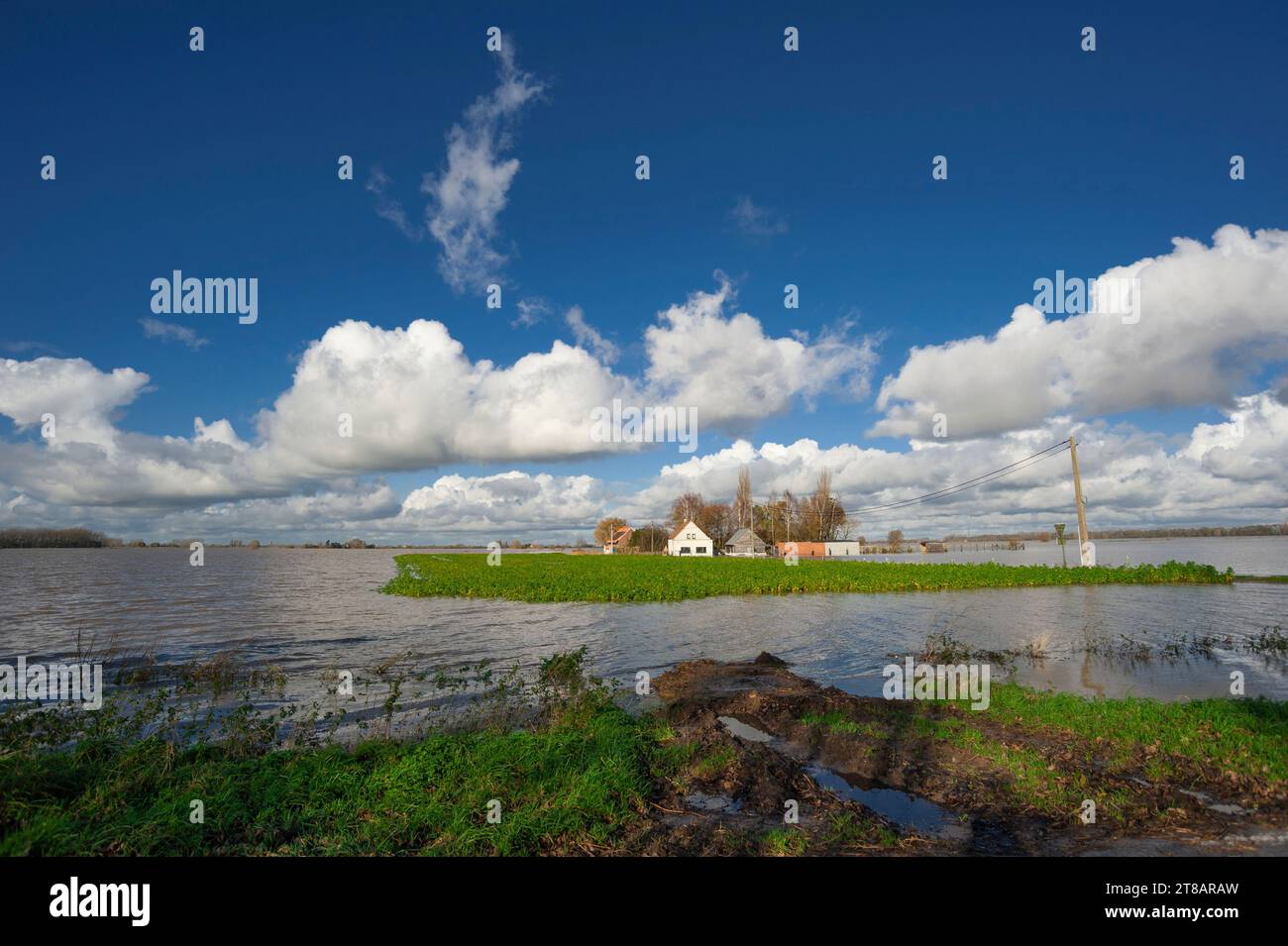 LO-Reninge, Flandre, Belgique. Vendredi 17 novembre 2023. Depuis plus de dix jours, le Westhoek en Flandre occidentale est inondé par de fortes pluies. La gravité Banque D'Images