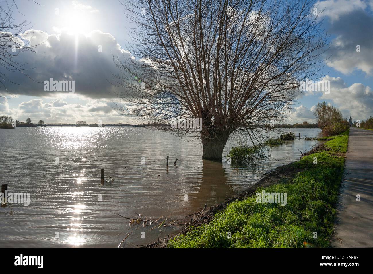 LO-Reninge, Flandre, Belgique. Vendredi 17 novembre 2023. Depuis plus de dix jours, le Westhoek en Flandre occidentale est inondé par de fortes pluies. La gravité Banque D'Images