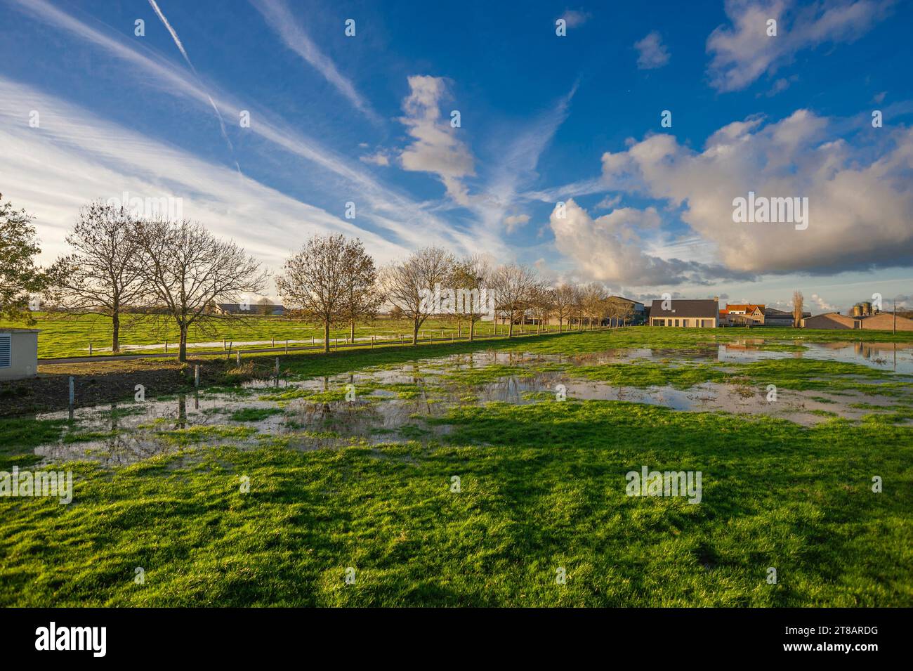 LO-Reninge, Flandre, Belgique. Vendredi 17 novembre 2023. Depuis plus de dix jours, le Westhoek en Flandre occidentale est inondé par de fortes pluies. La gravité Banque D'Images