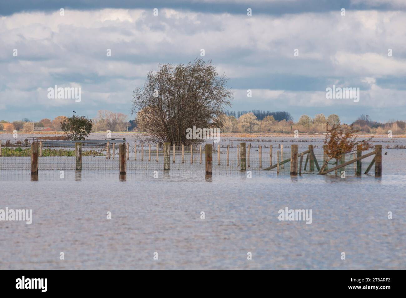 LO-Reninge, Flandre, Belgique. Vendredi 17 novembre 2023. Depuis plus de dix jours, le Westhoek en Flandre occidentale est inondé par de fortes pluies. La gravité Banque D'Images