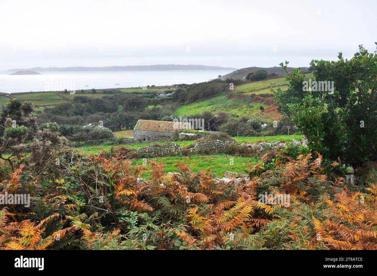 La paix et la tranquillité capturées par le calme paysage automnal de l'île de St Martins dans les îles Scilly. Les petits champs bordés par la pierre sèche W Banque D'Images