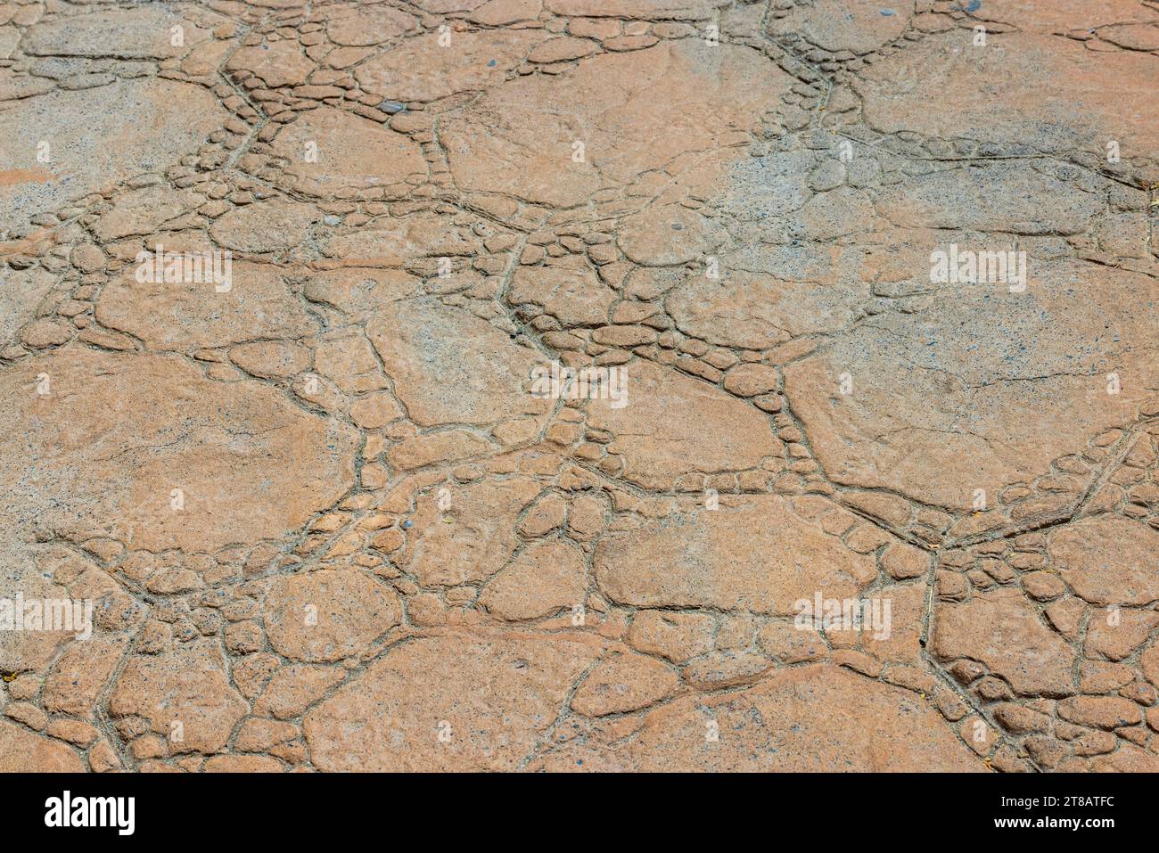 Vue rapprochée de la texture du chemin piétonnier dans le parc sur Gran Canaria. Espagne. Banque D'Images