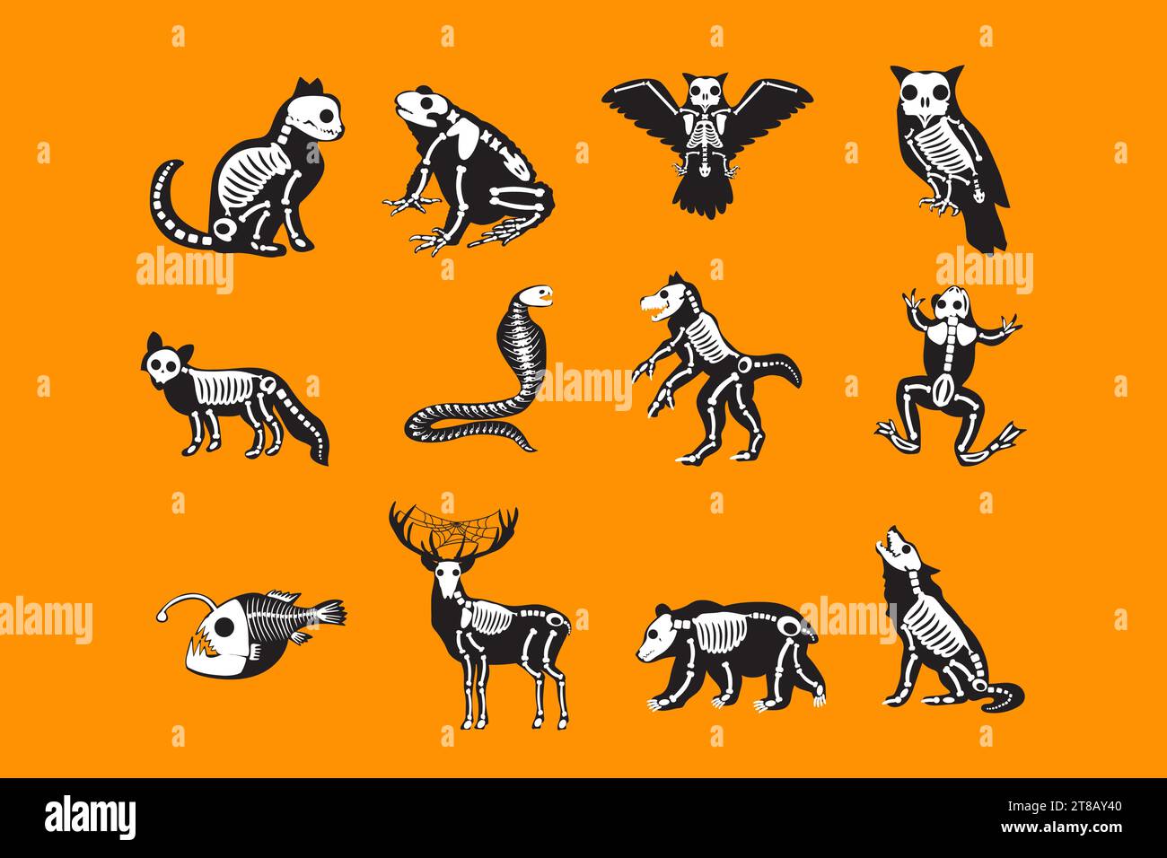 Collection de squelettes de monstre animaux d'Halloween. Roentgen squelette OS, jeu de personnages effrayants de conte de fées. Vecteur blanc noir de dessin animé isolé sur p Illustration de Vecteur