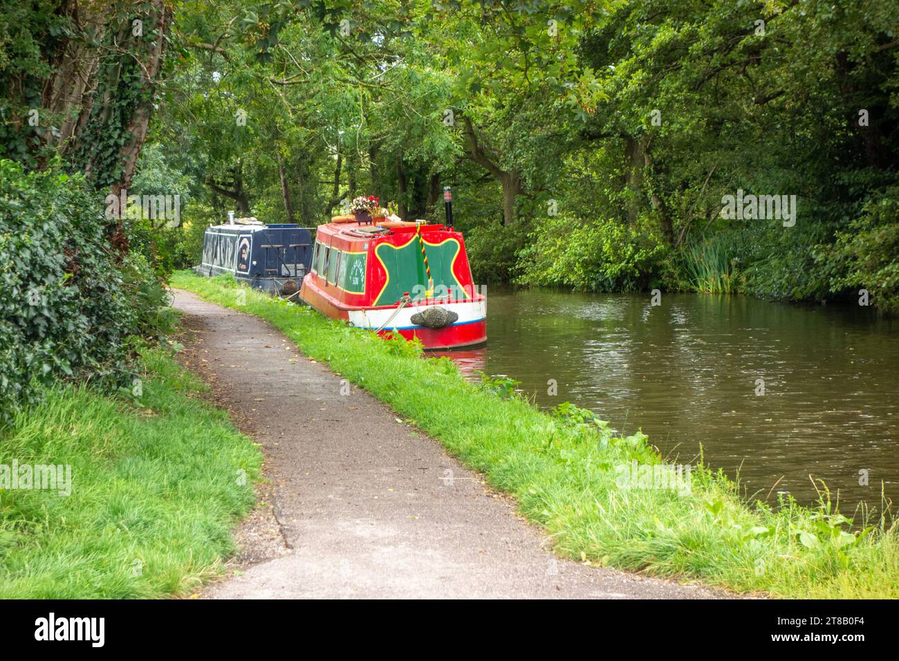 Canal narrowboat traversant la campagne du Staffordshire près de Barlaston sur le canal Trent et Mersey Banque D'Images