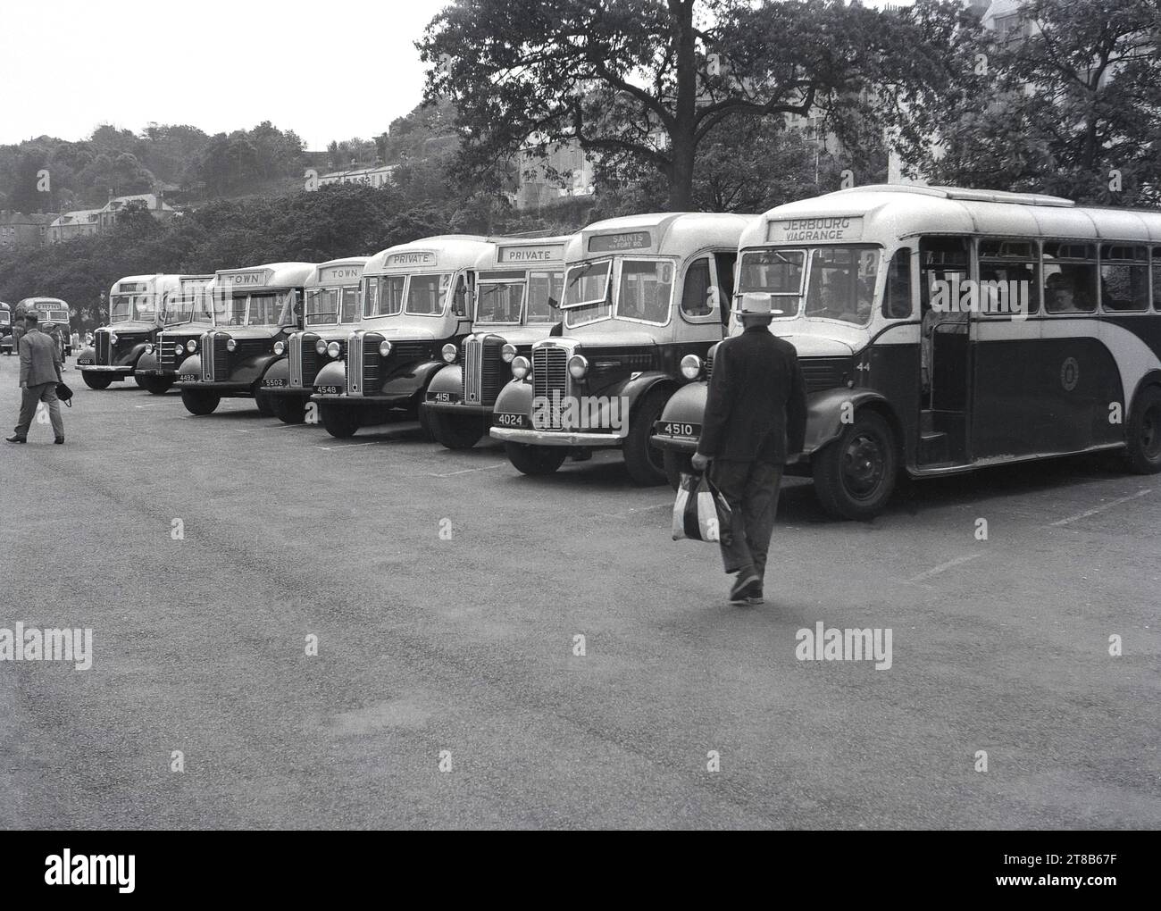 Années 1950, historiques, touristiques ou d'excursion Bedford autocars de l'époque, garés dans une ligne sur Guernesey, îles Anglo-Normandes. Une partie de la partie de la flotte de Guernesey Motor, les destinations incluent ; Jerbourg via Grange, Saints via fort Rd et la ville. Banque D'Images