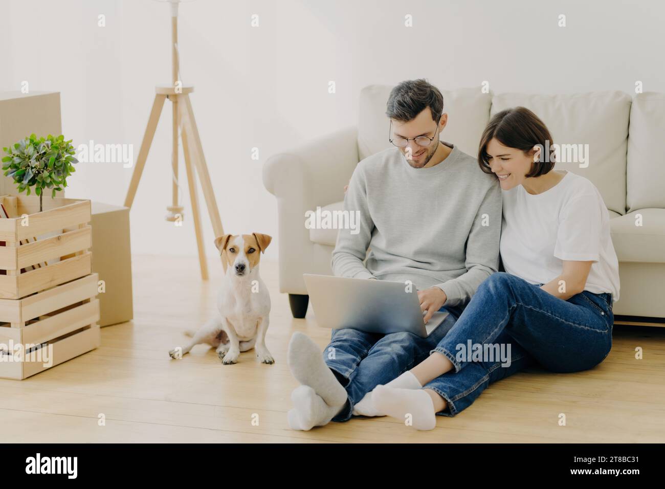 Un couple joyeux et leur chien dans un salon lumineux avec des boîtes de déménagement emballées, se liant sur un ordinateur portable Banque D'Images