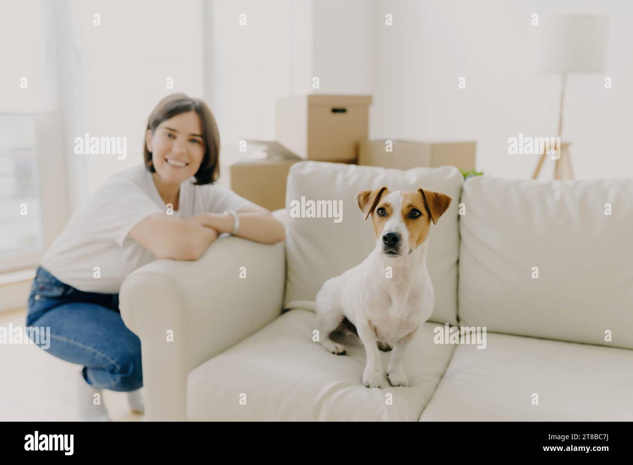 Femme souriante et son chien sur un canapé blanc avec des boîtes mobiles dans un salon rempli de lumière Banque D'Images