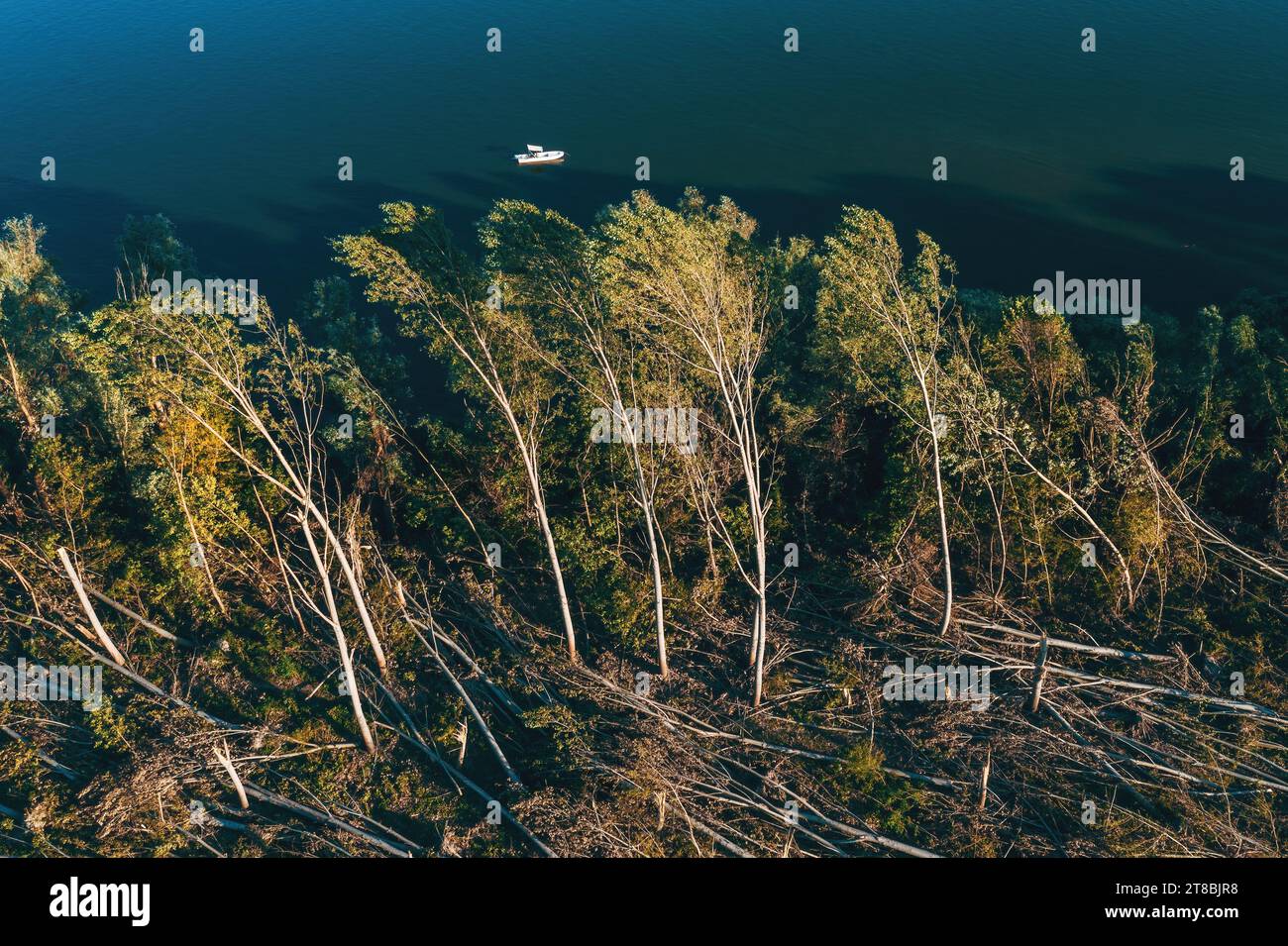 Vue aérienne du paysage forestier dévasté après la tempête supercellulaire en été, drone pov prise de vue des dommages environnementaux paysage de déforestation par le haut Banque D'Images