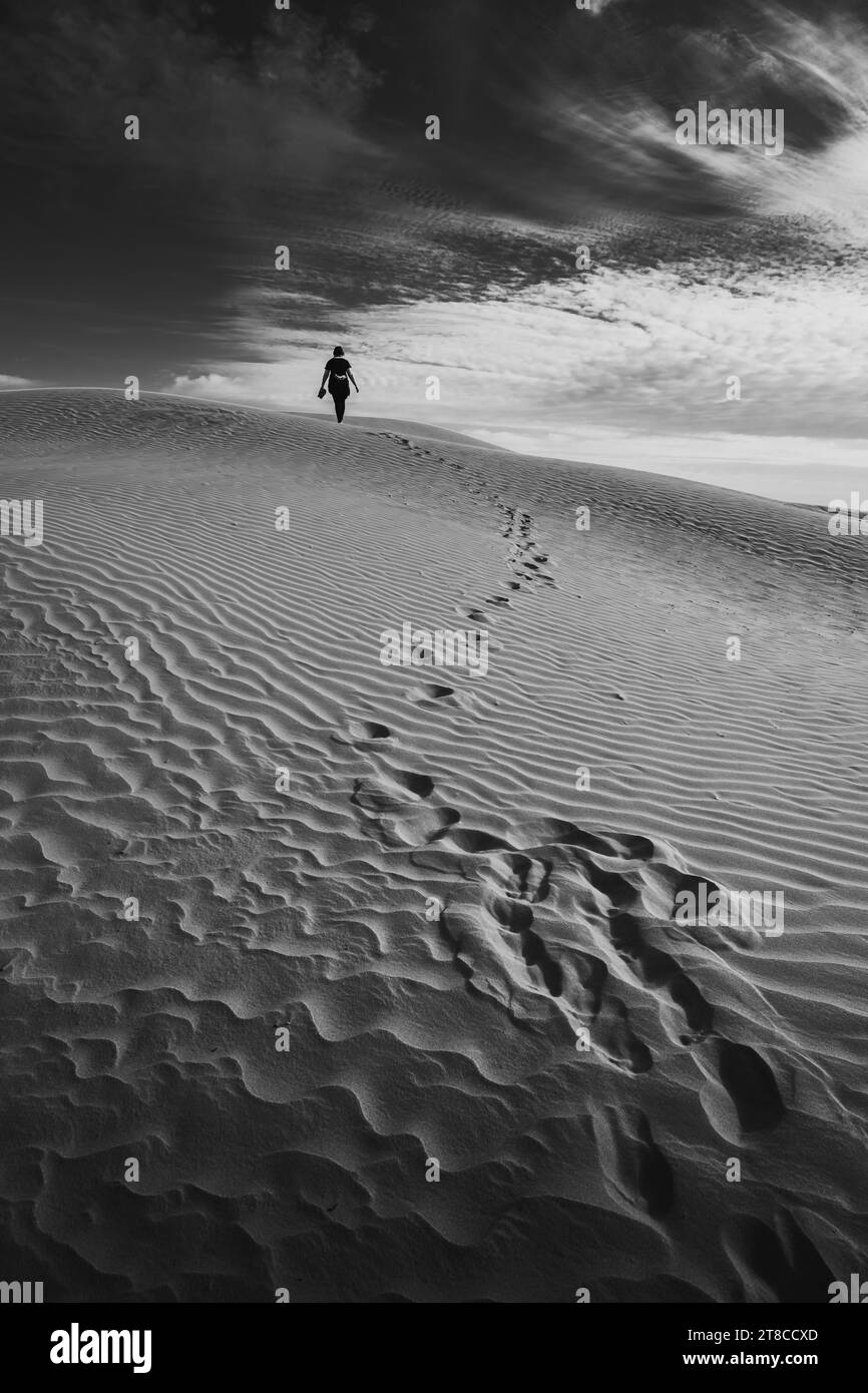 Coucher de soleil au désert de Gobi, immenses dunes avec femme debout, Mongolie. Couleurs bleu et jaune intenses, espace de copie pour le texte, noir et blanc Banque D'Images