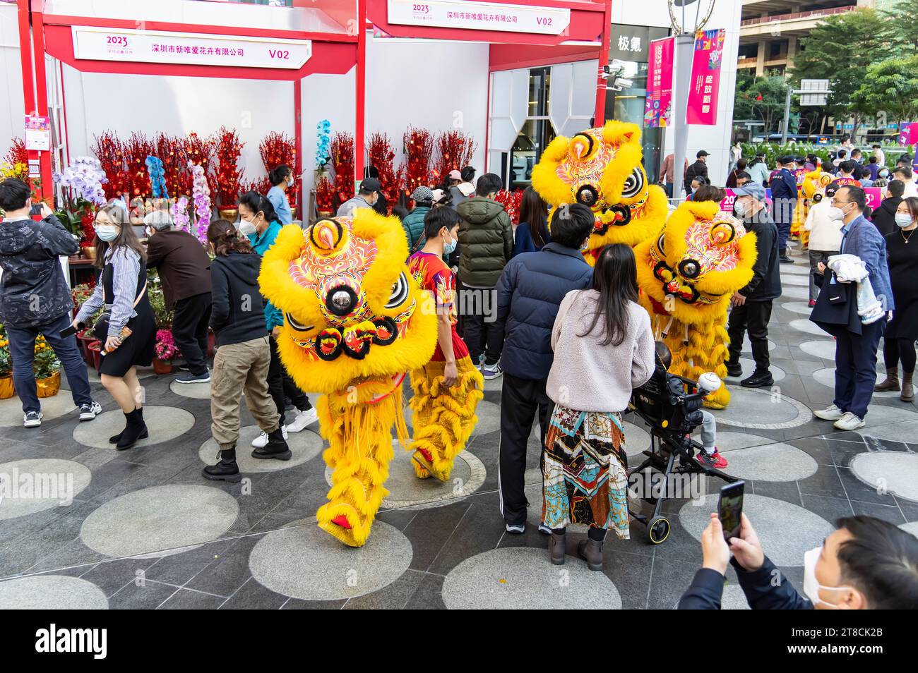 SHEN ZHEN, CHINE - 19 janvier 2023 : l'équipe de danse Lion se déplace pour célébrer le nouvel an chinois à Shenzhen Spring Festival Flower Fair Banque D'Images