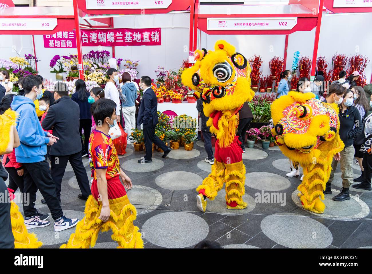 SHEN ZHEN, CHINE - 19 janvier 2023 : l'équipe de danse Lion se déplace pour célébrer le nouvel an chinois à Shenzhen Spring Festival Flower Fair Banque D'Images