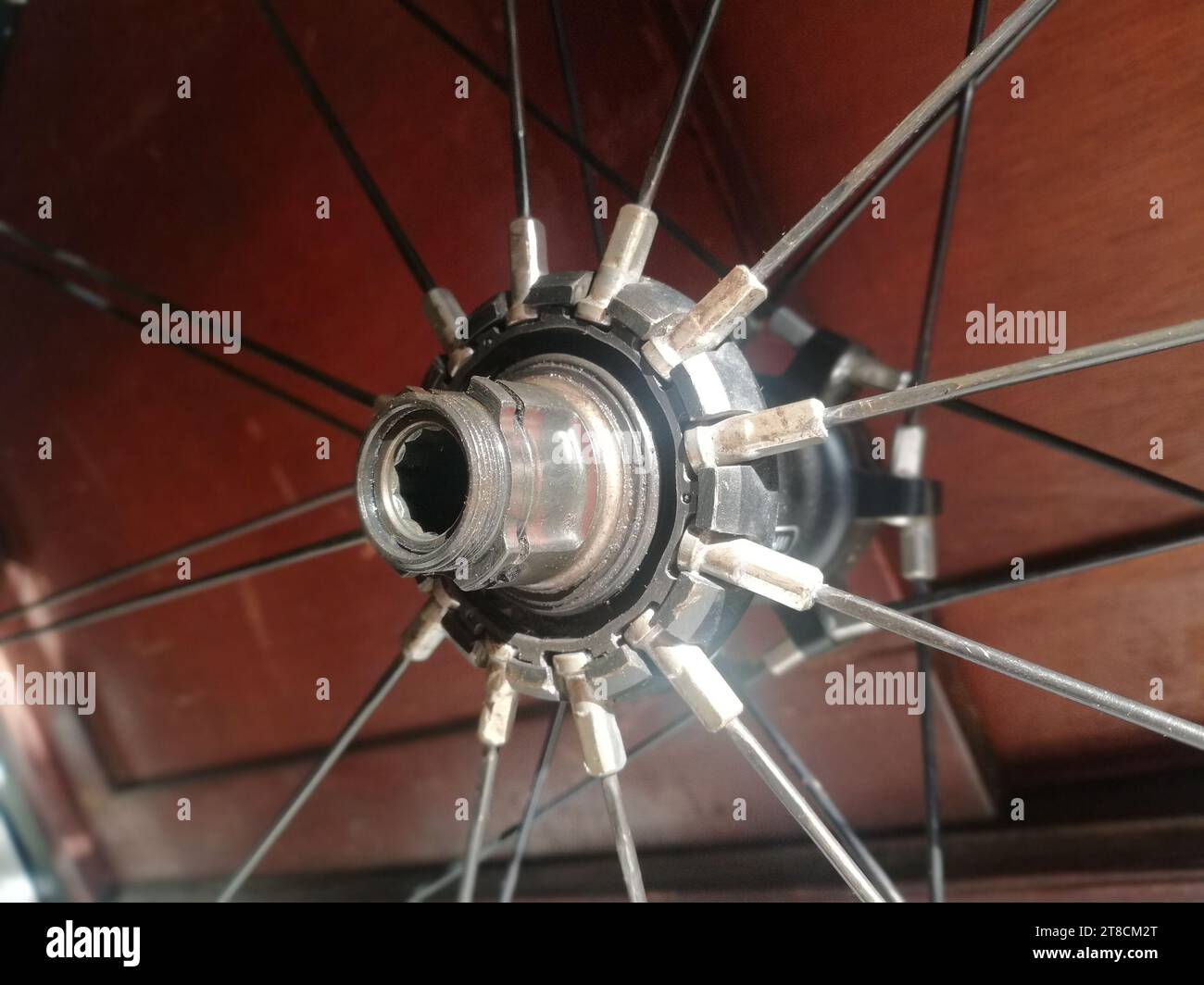 Arrière-plan de concept de réparation et de remplacement de vélo de roue arrière de vélo. Gros plan sur les pièces cassées Banque D'Images
